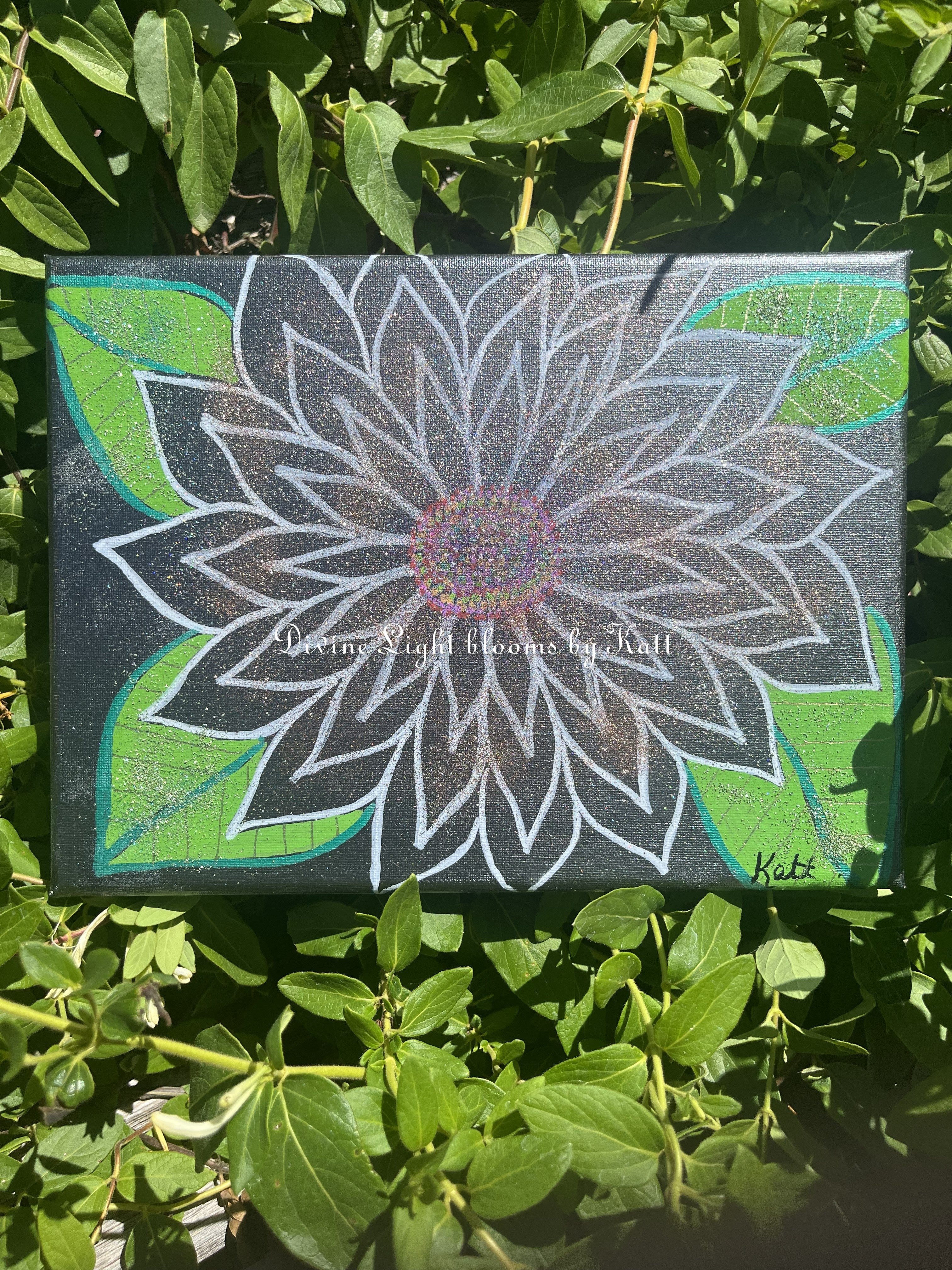 Shimmering Shadow