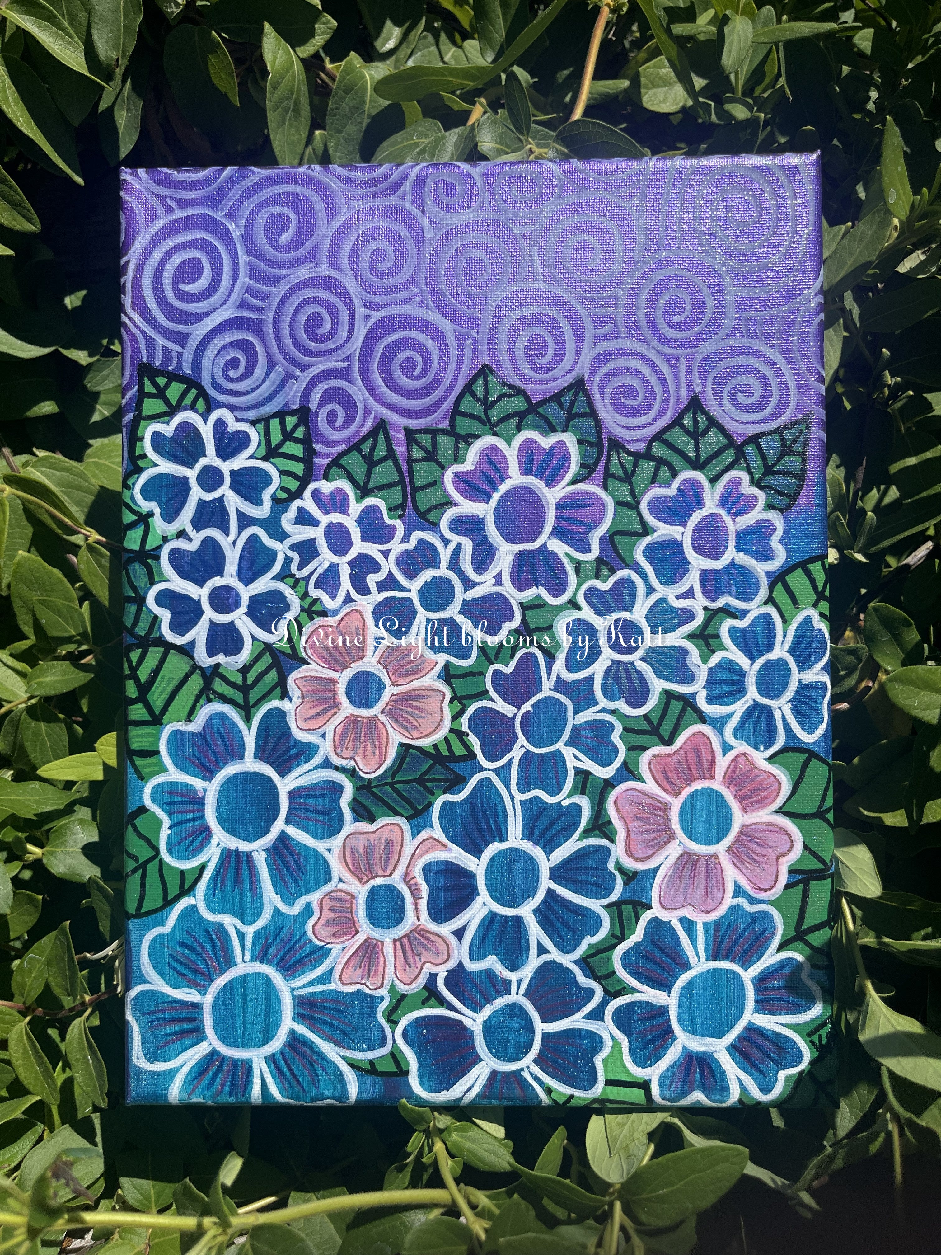 Serene Currents Collection